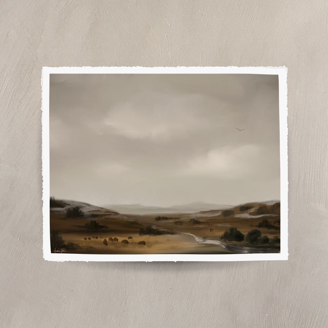 “Bison in the Prairie at Theodore Roosevelt”