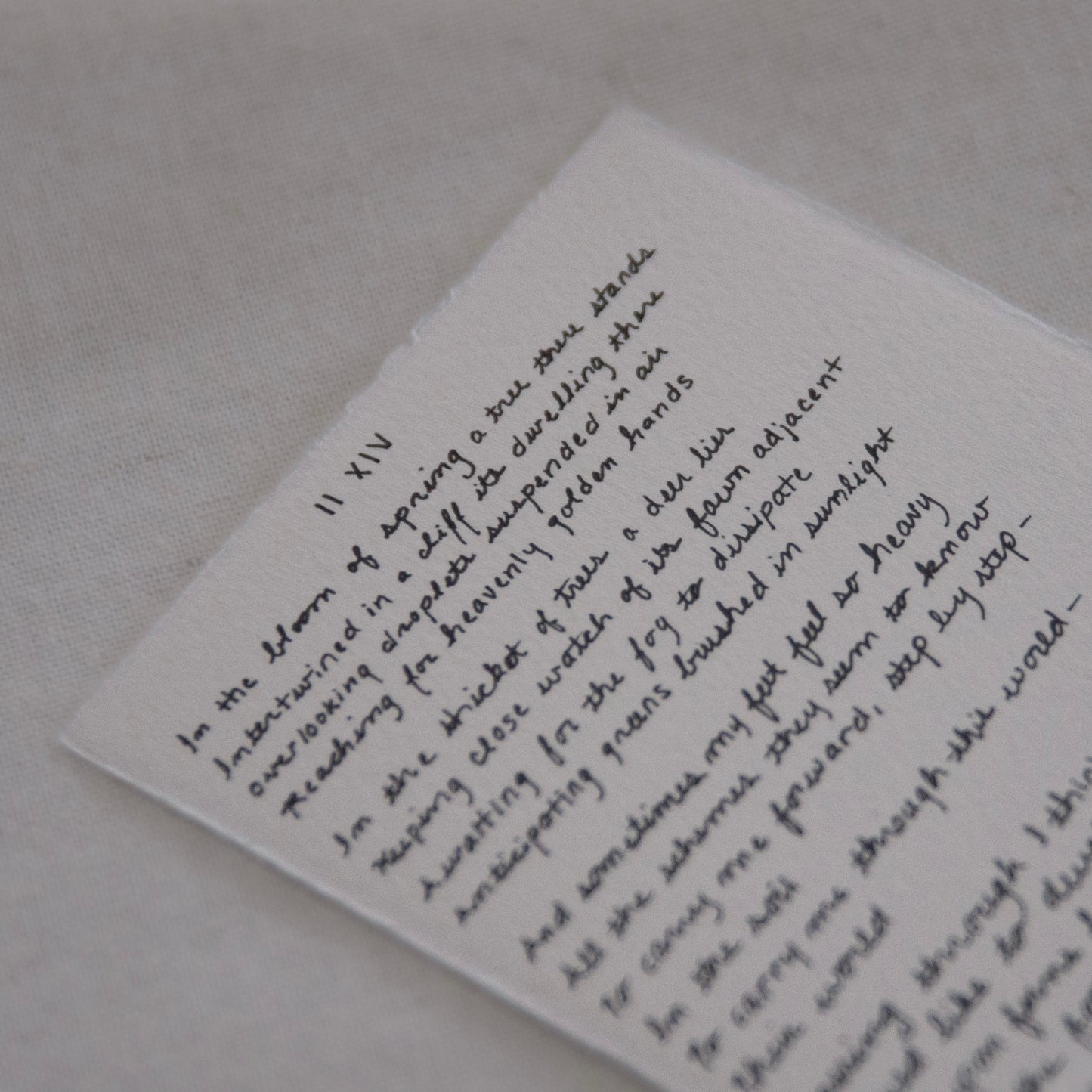 close up of environmentalist poem for National Parks, handwritten and signed for 'for the land' collection by Laura Van Moorleghem