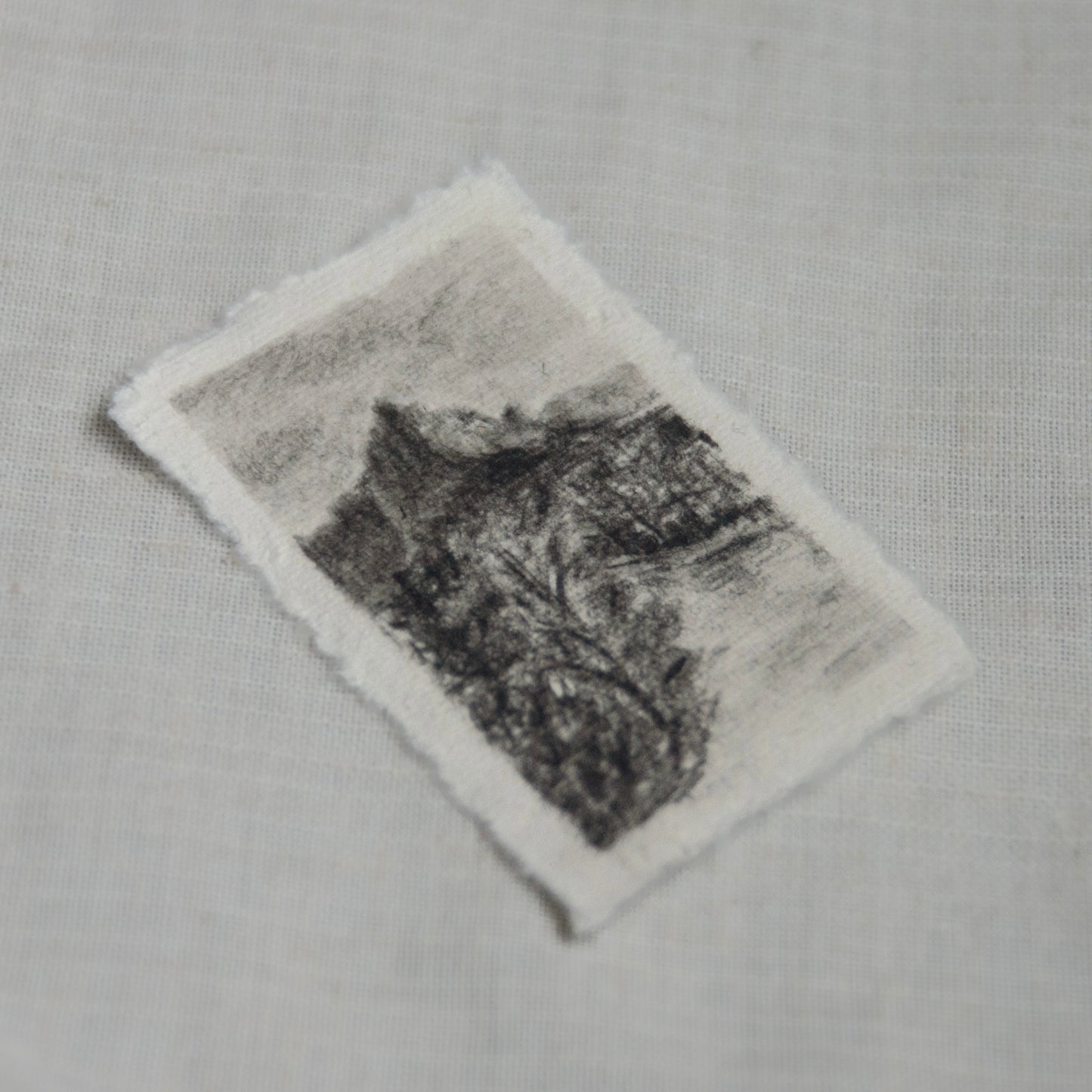 side profile of a charcoal sketch on 100% deckled edge paper of Zion National Park scene
