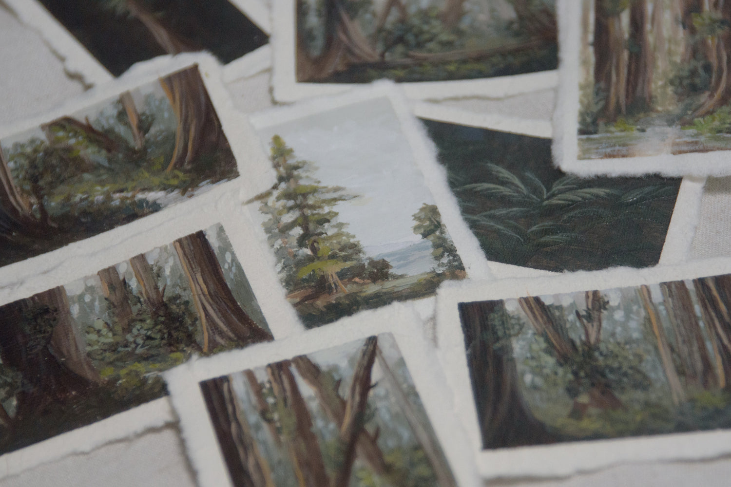 XII: Small Beginnings