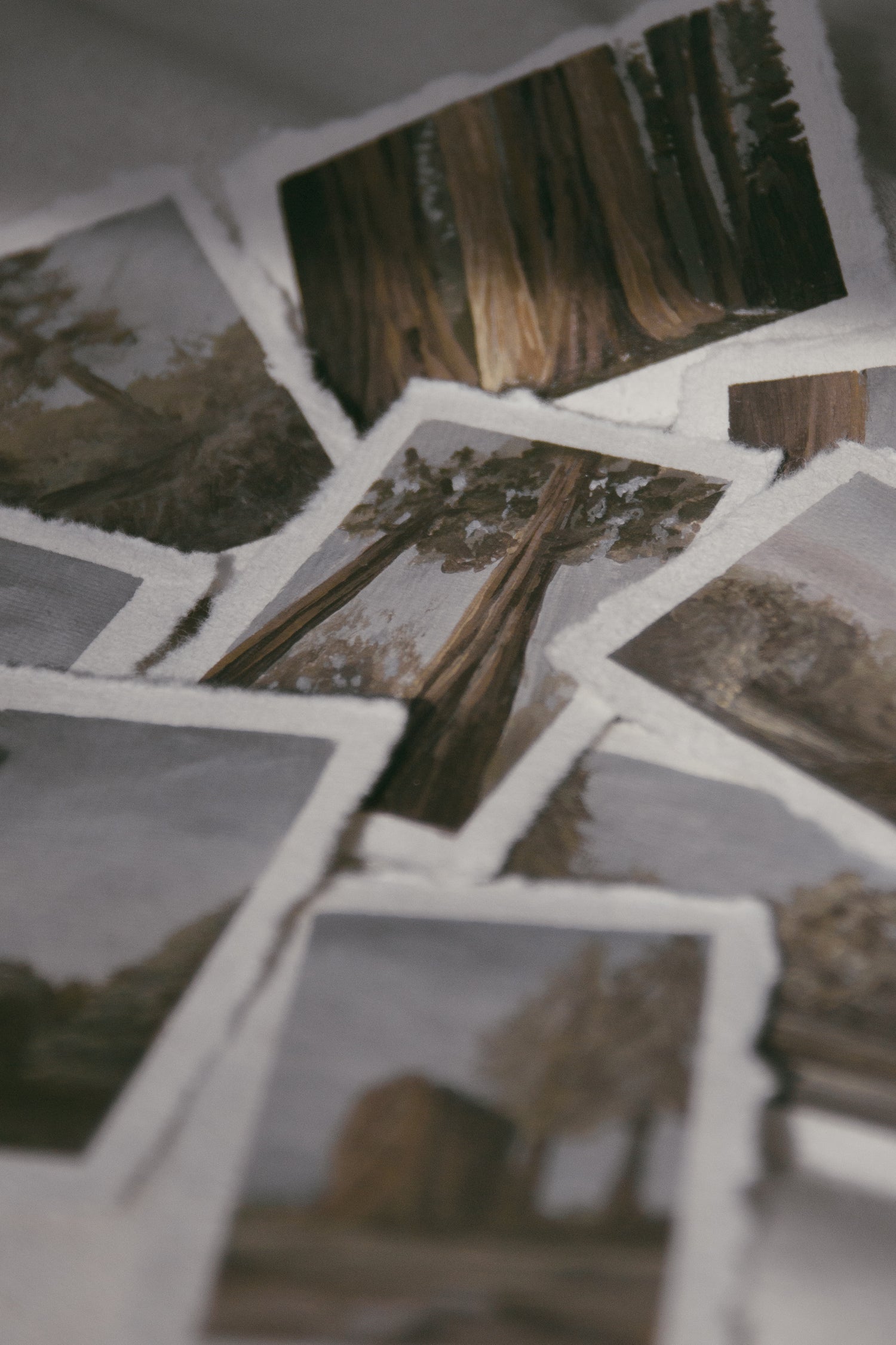 V: Among Dappled Light