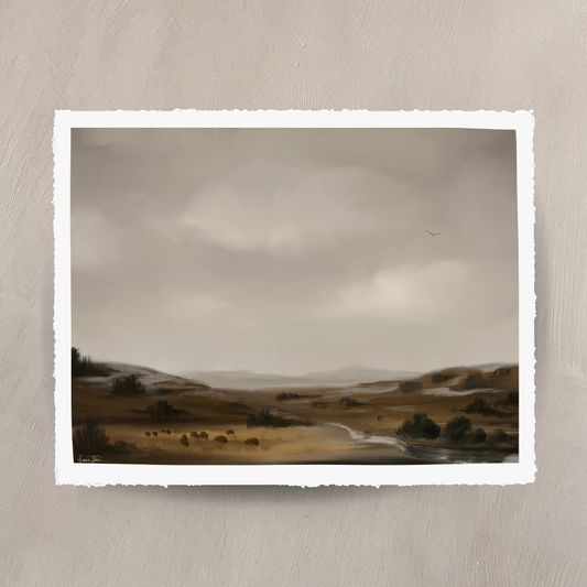 “Bison in the Prairie at Theodore Roosevelt”