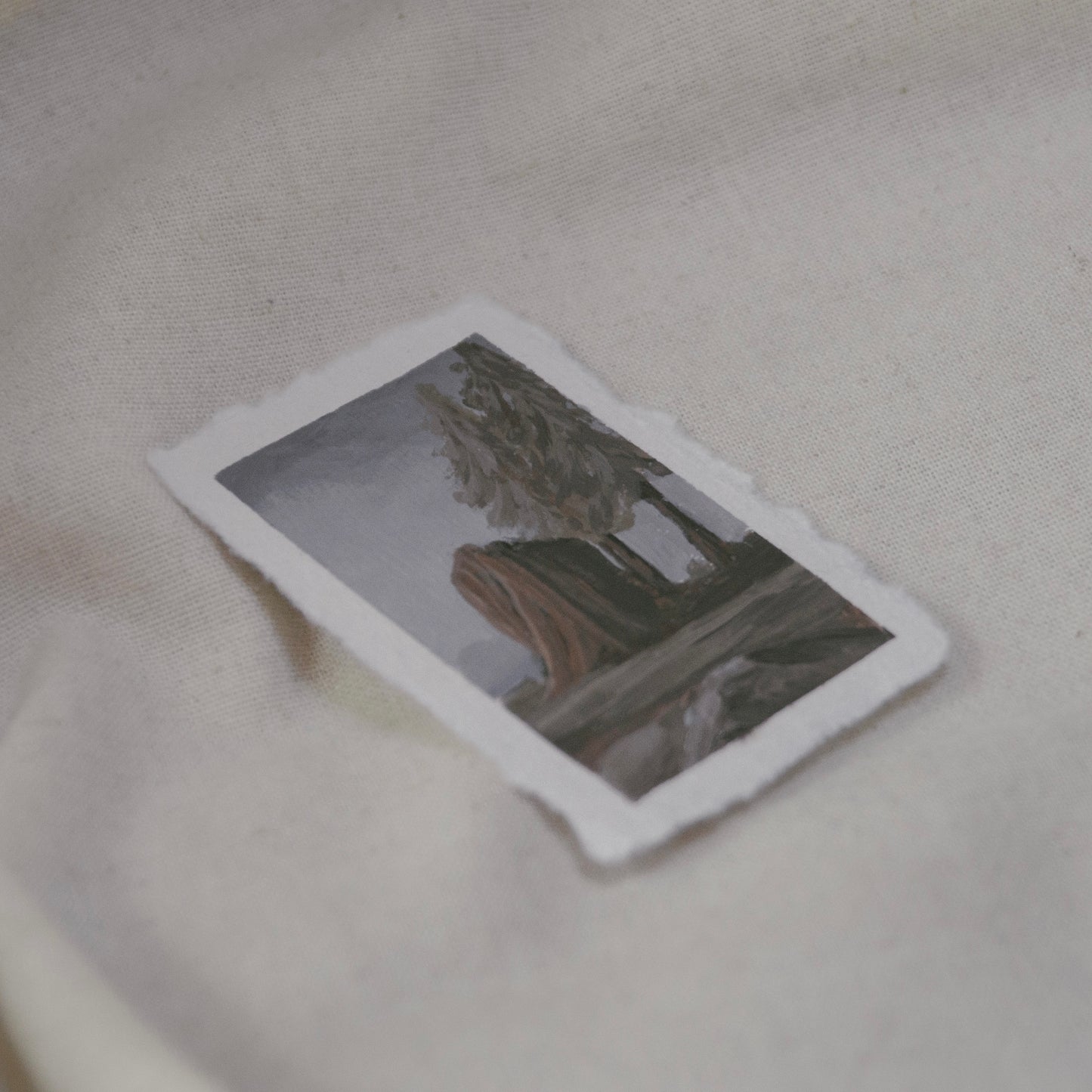 V: Among Dappled Light vi