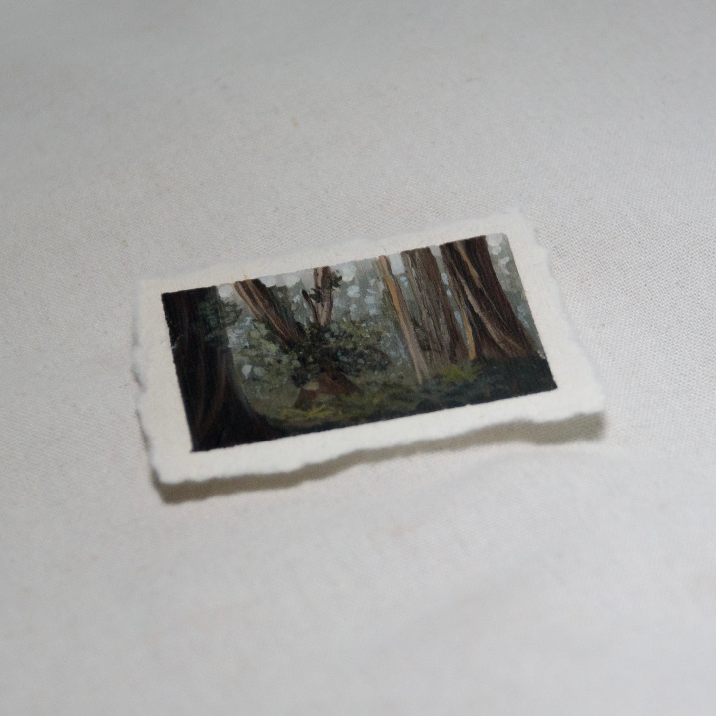 XII: Small Beginnings x