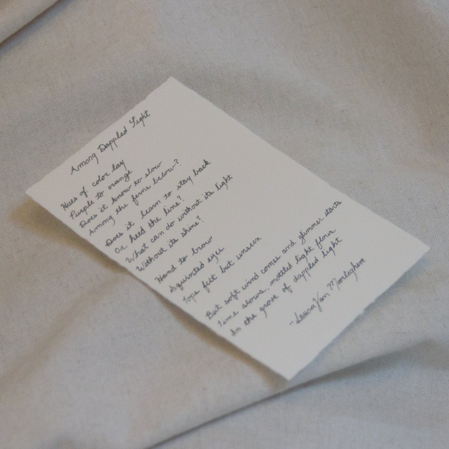 V: Among Dappled Light viii