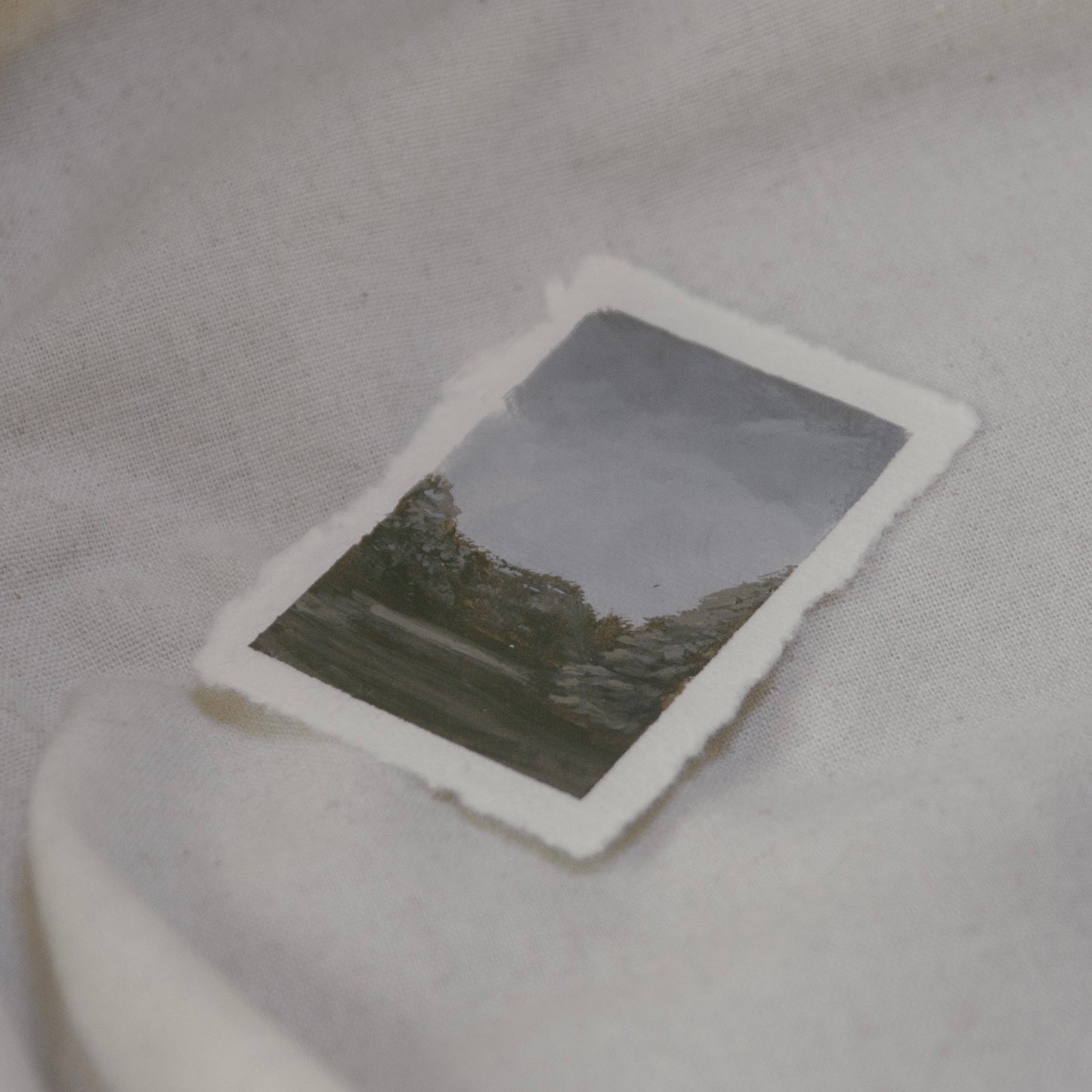 V: Among Dappled Light vii