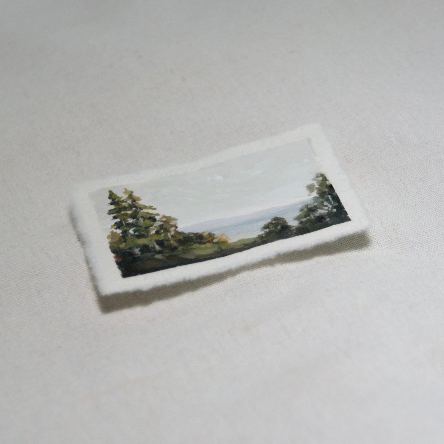 XII: Small Beginnings viii