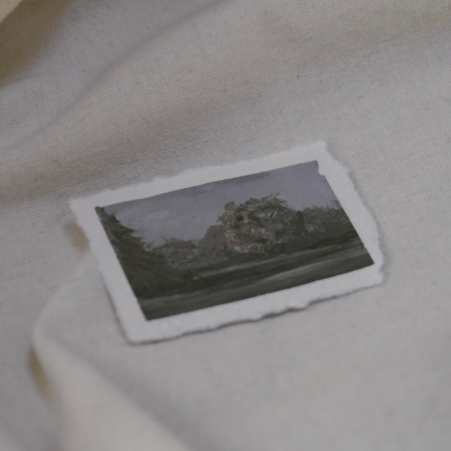 V: Among Dappled Light v