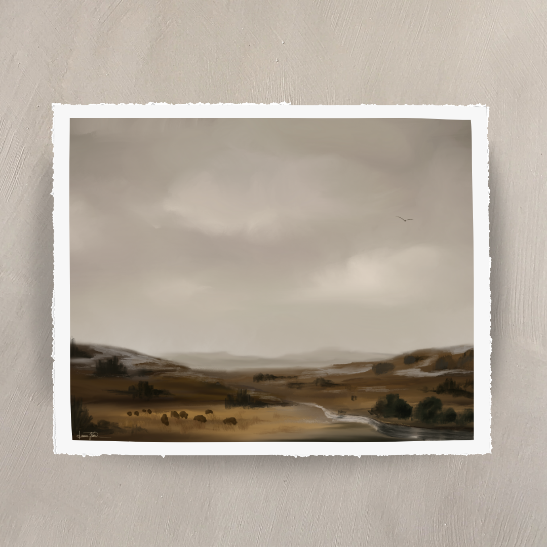 “Bison in the Prairie at Theodore Roosevelt”