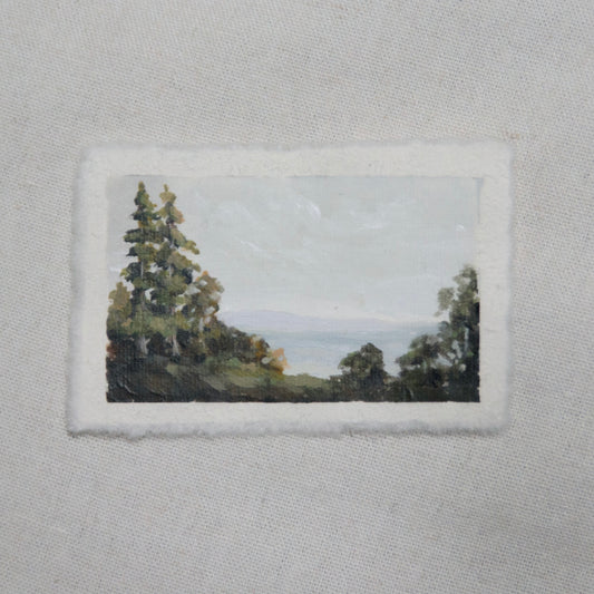 XII: Small Beginnings viii