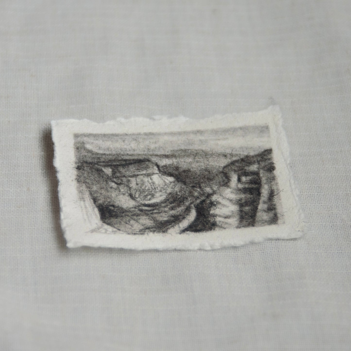 For the Land xi: Grand Canyon