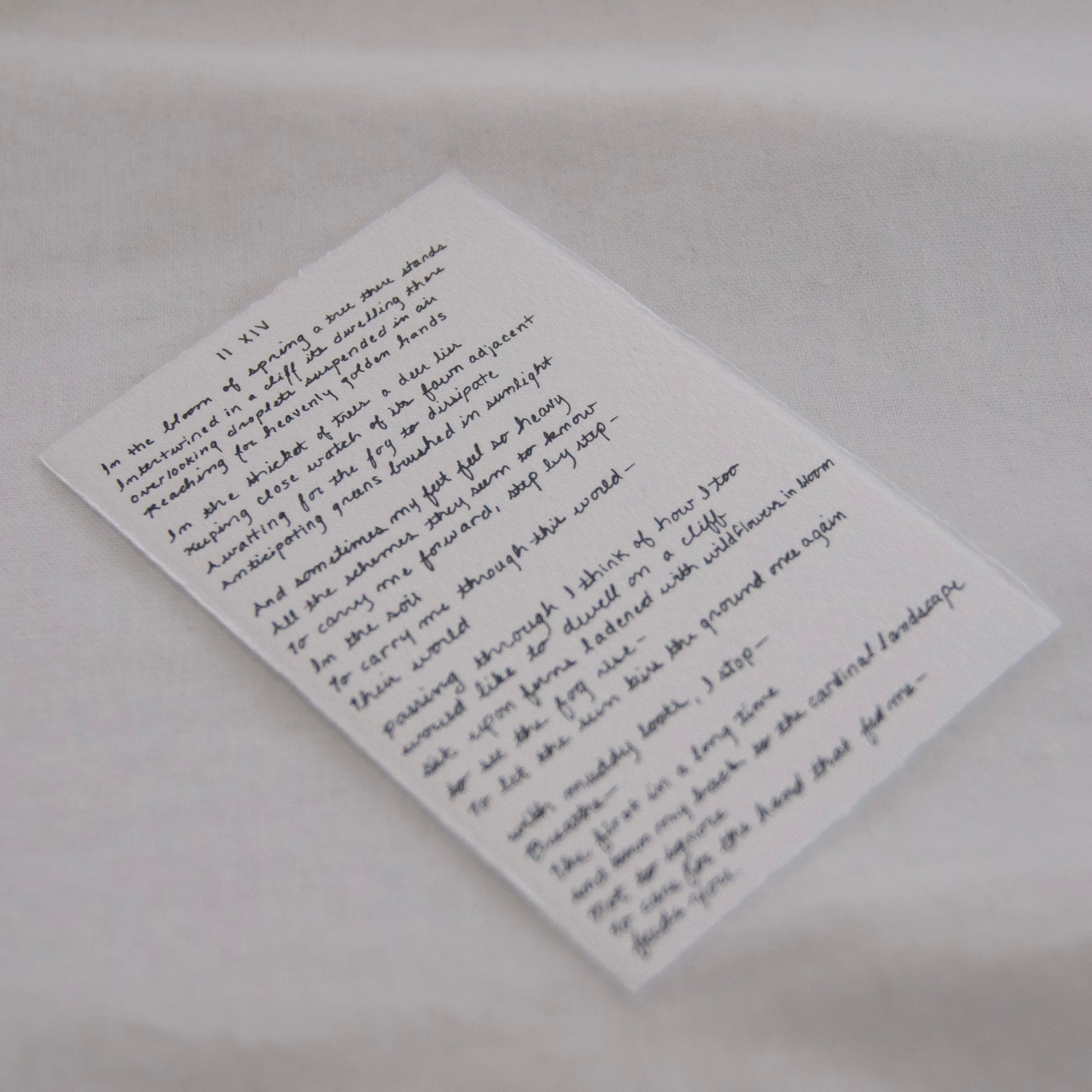 National Park poem handwritten on 100% deckled edge paper in cursive.
