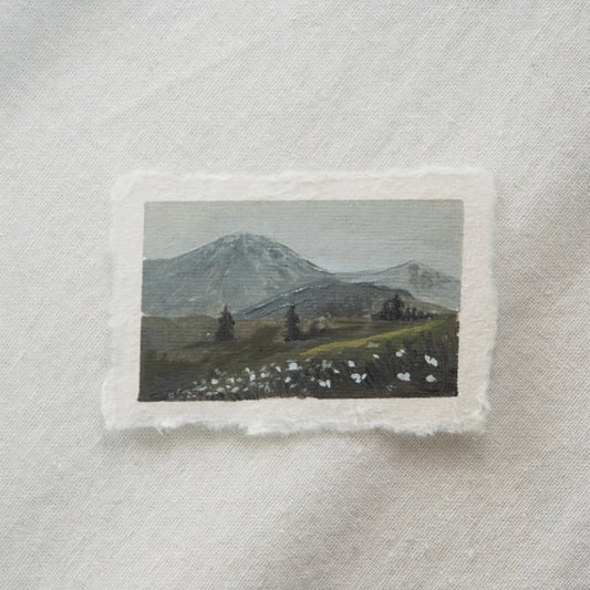 Hurricane ridge with wildflowers miniature gouache painting from hurricane ridge in olympic National Park by Laura Van Moorleghem