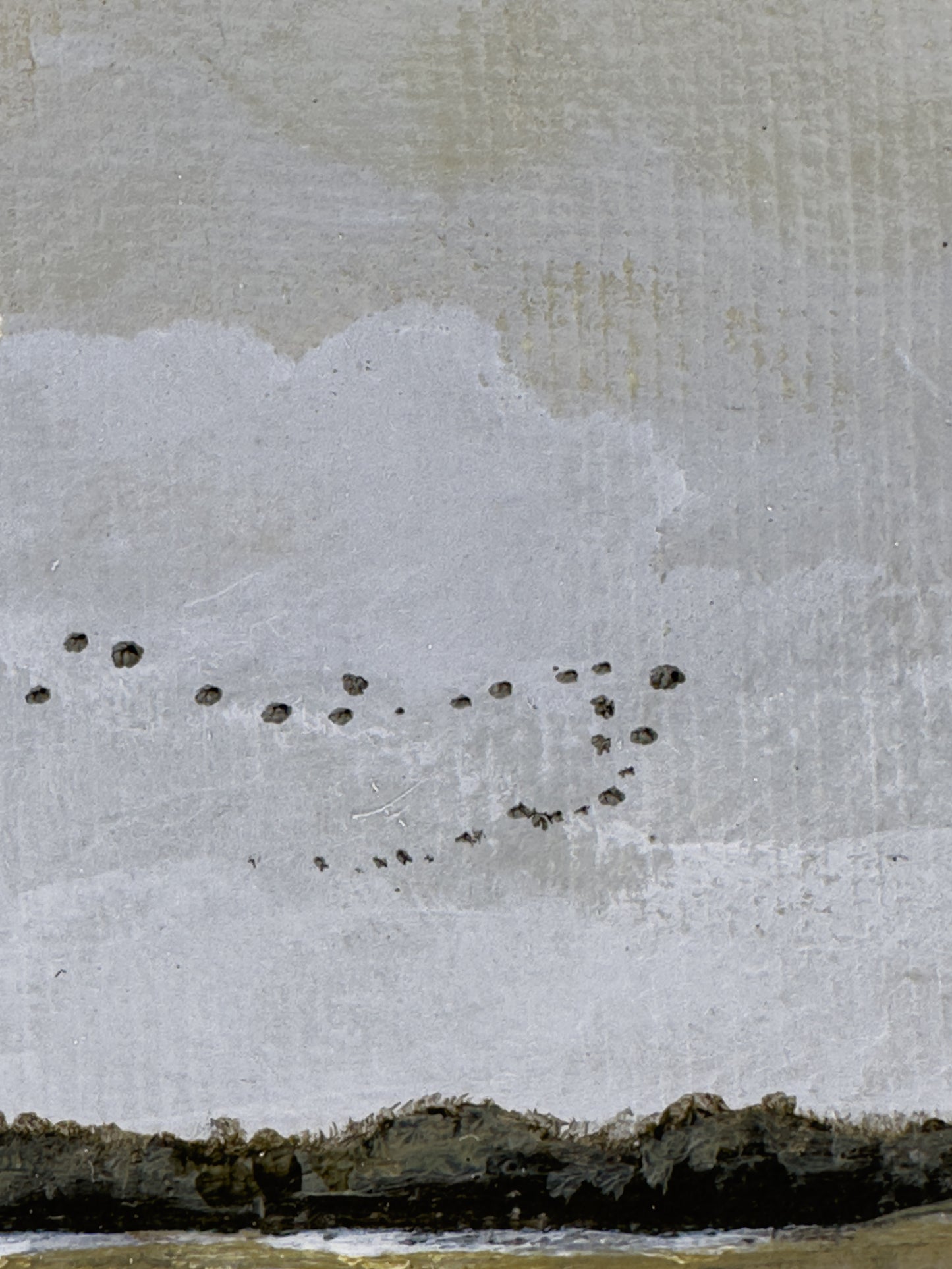 Close-up detail of plein air brushstrokes and bird textures in Nebraska art