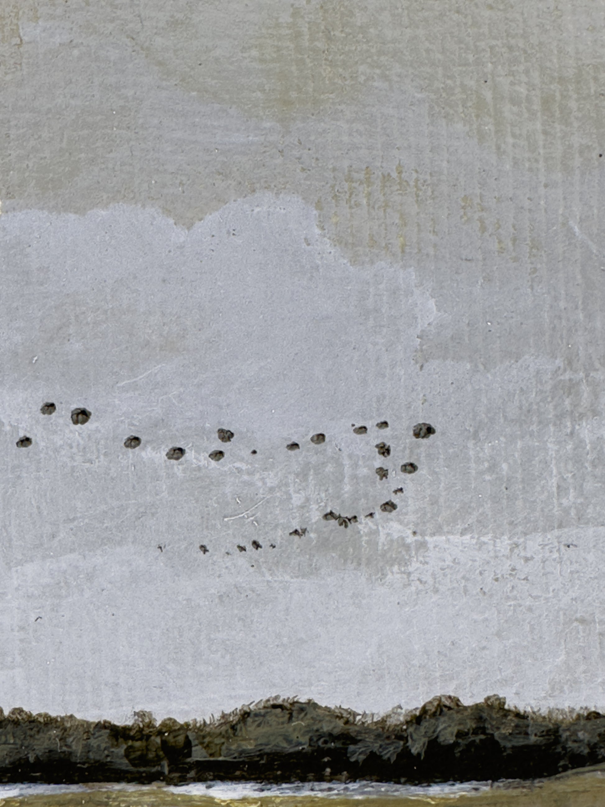 Close-up detail of plein air brushstrokes and bird textures in Nebraska art