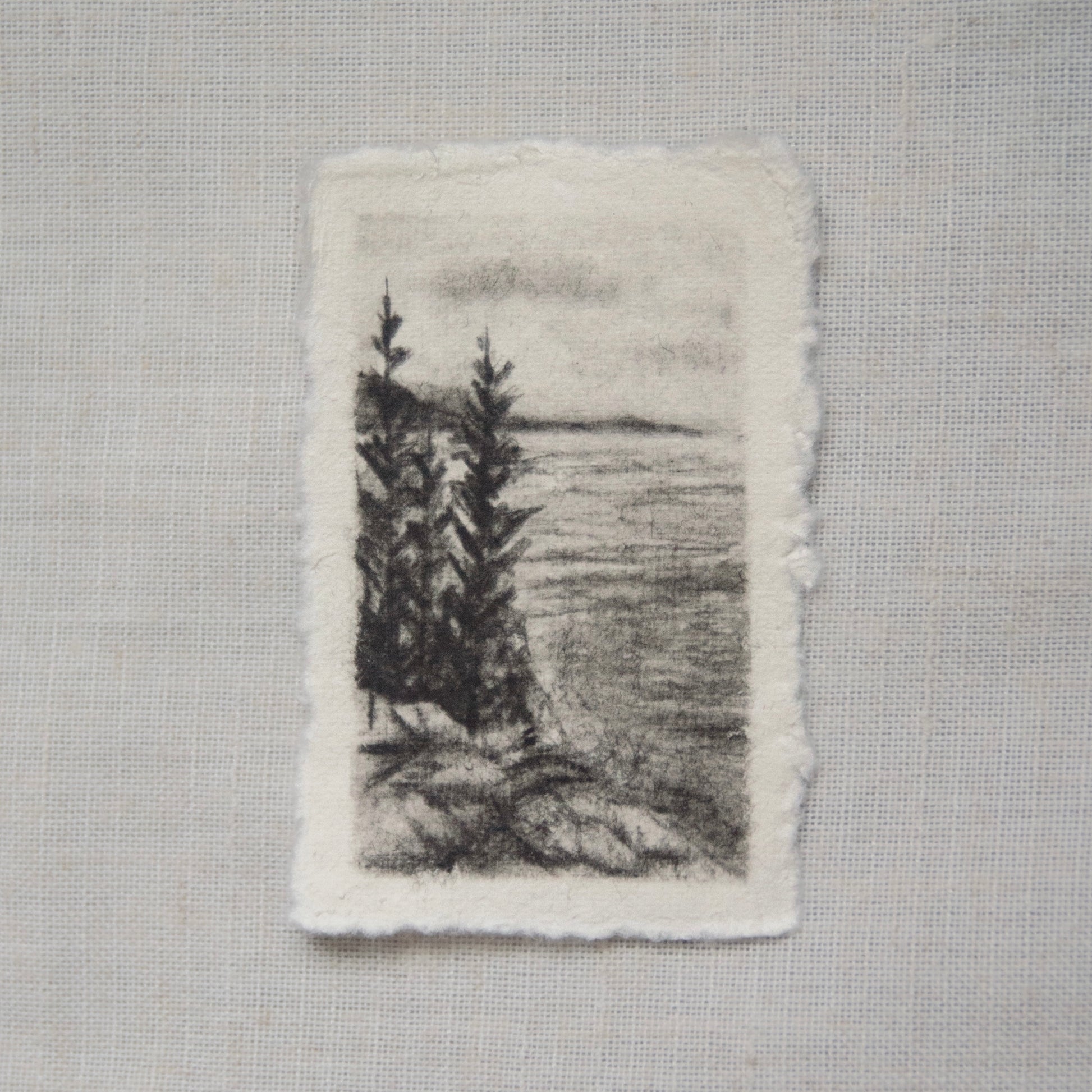 A charcoal sketch of a path leading to a body of water on the Ocean Path Trail in Acadia National Park by artist Laura Van Moorleghem