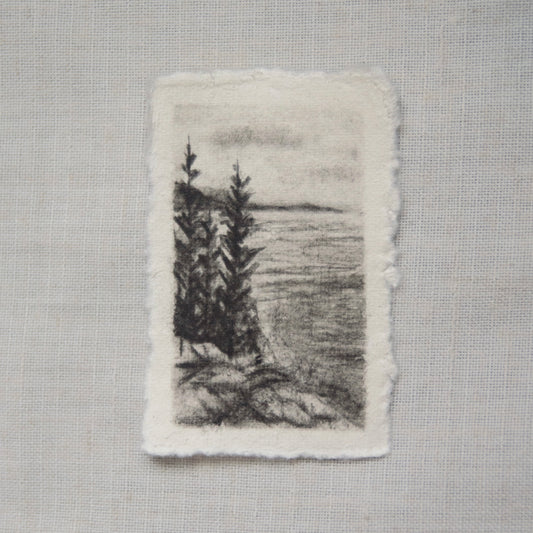 A charcoal sketch of a path leading to a body of water on the Ocean Path Trail in Acadia National Park by artist Laura Van Moorleghem