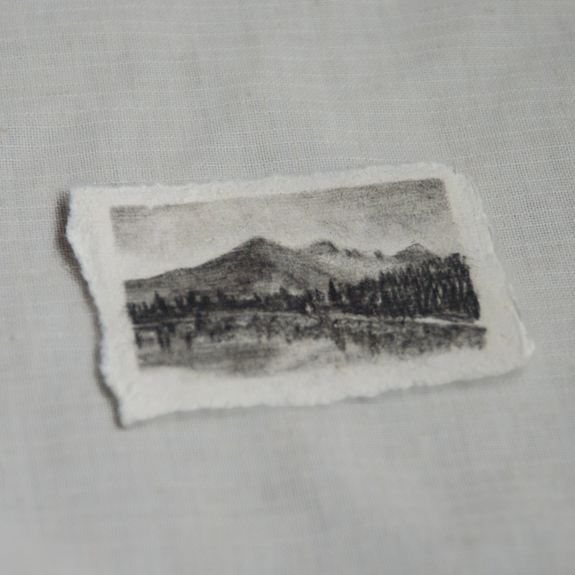 side view of a charcoal showcasing the bear lake in Rocky mountain national park