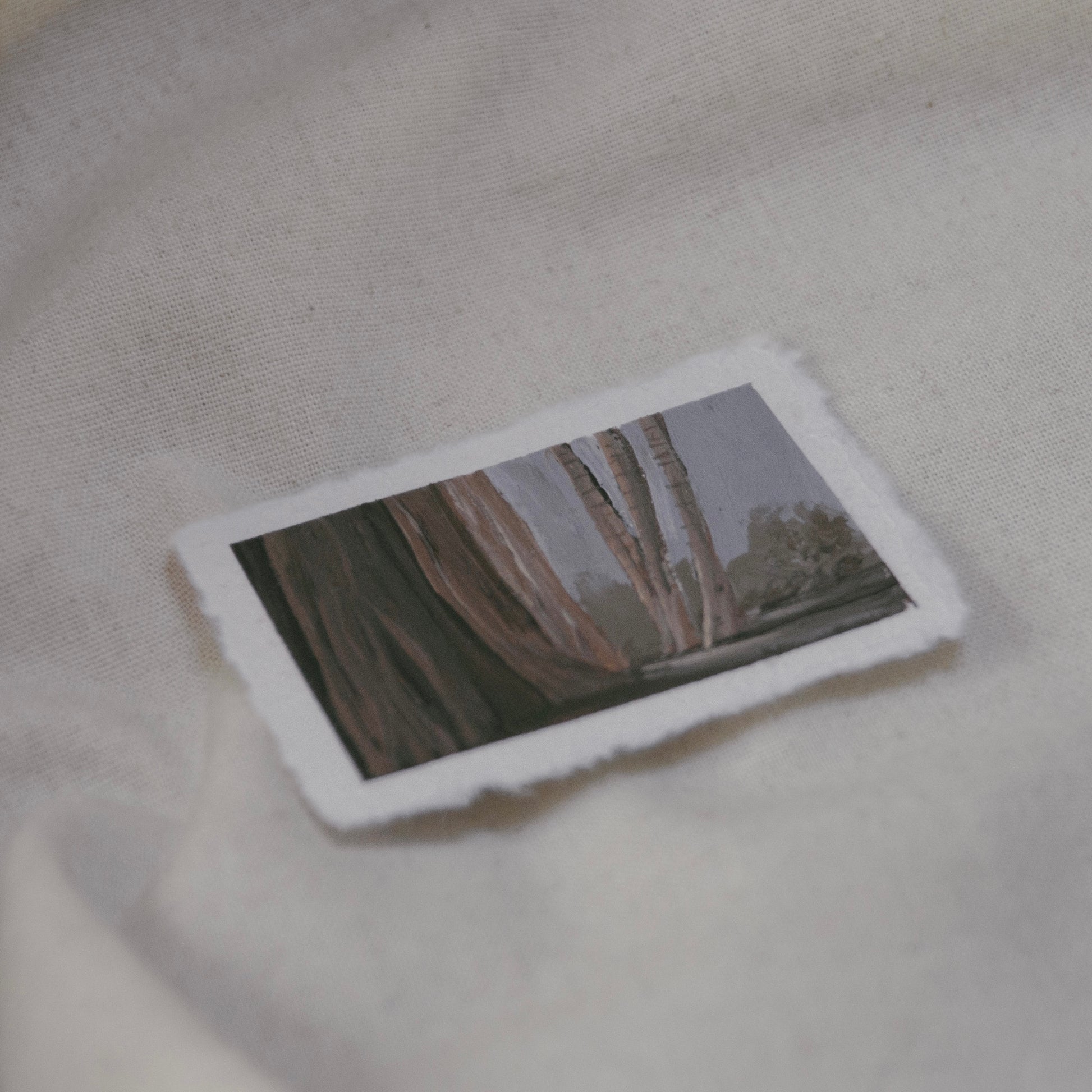 Side profile of birch trees and sequoia trees painting on deckled edge 100% cotton rag paper
