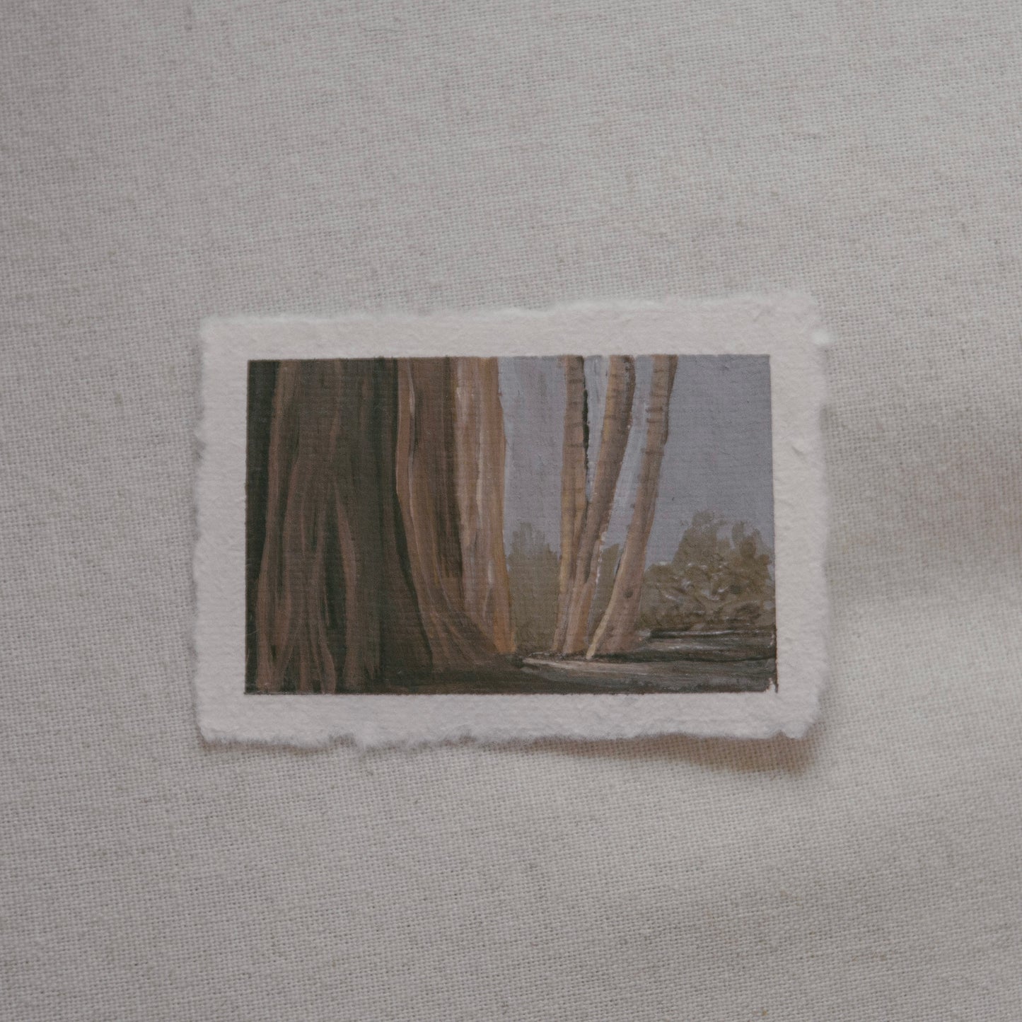 miniature acrylic painting of birch trees and Sequoia  trees from Sequoia National Park by Laura Van Moorleghem