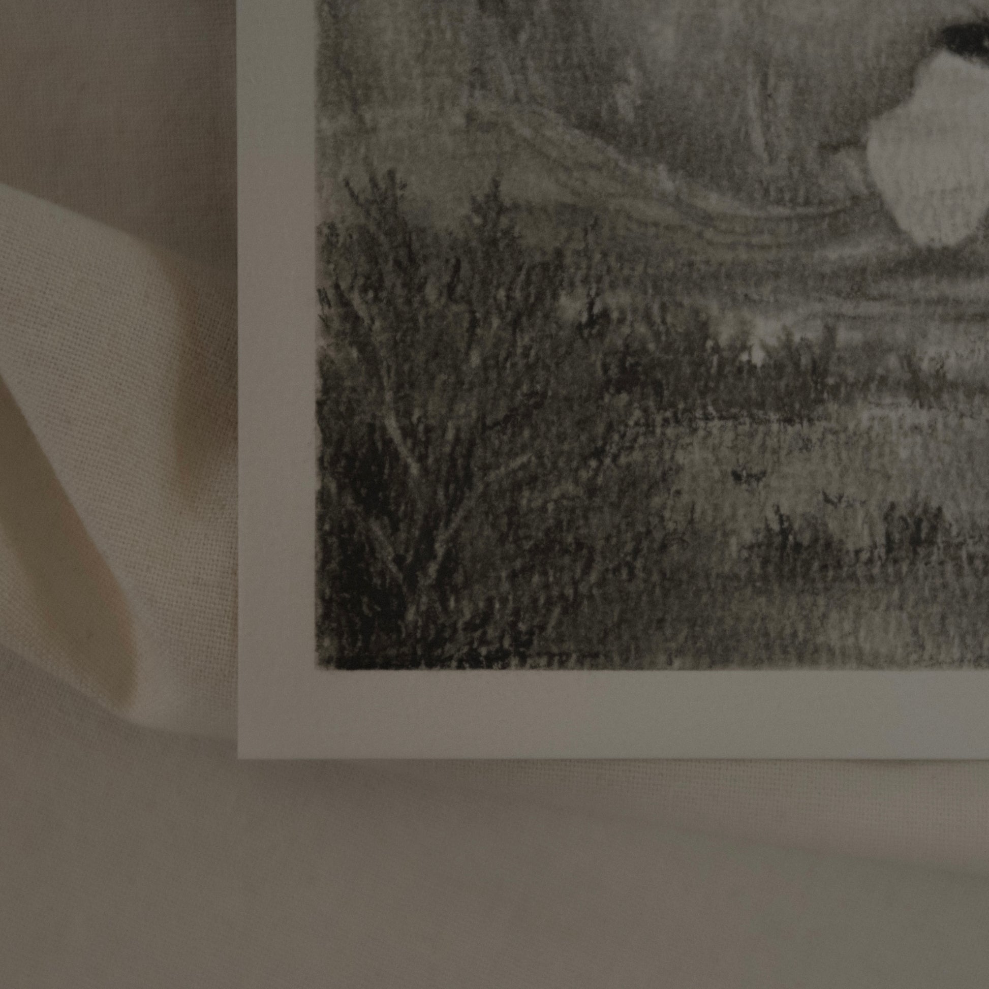 close up detail of 100% cotton 300gsm paper of a north window charcoal study