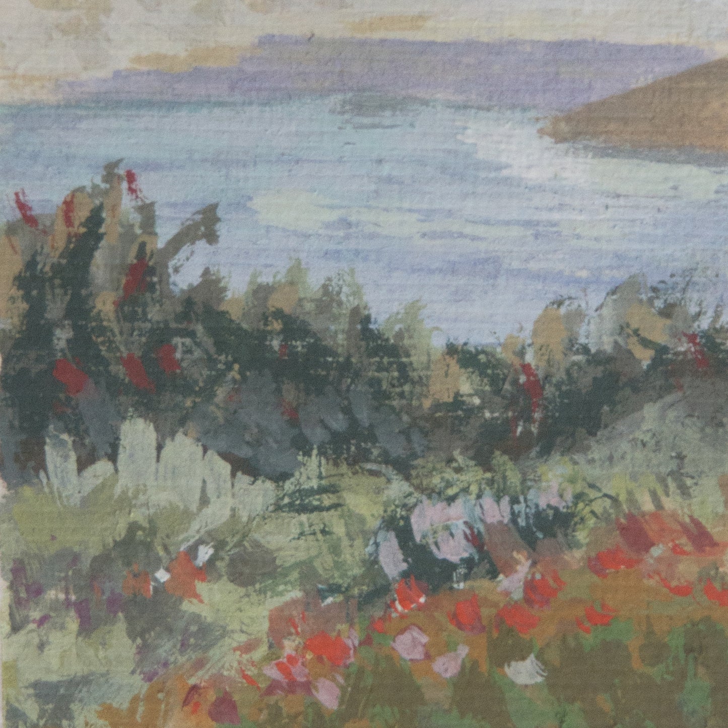 Close-up detail of plein air brushstrokes and wildflower textures in Santa cruz island National park art