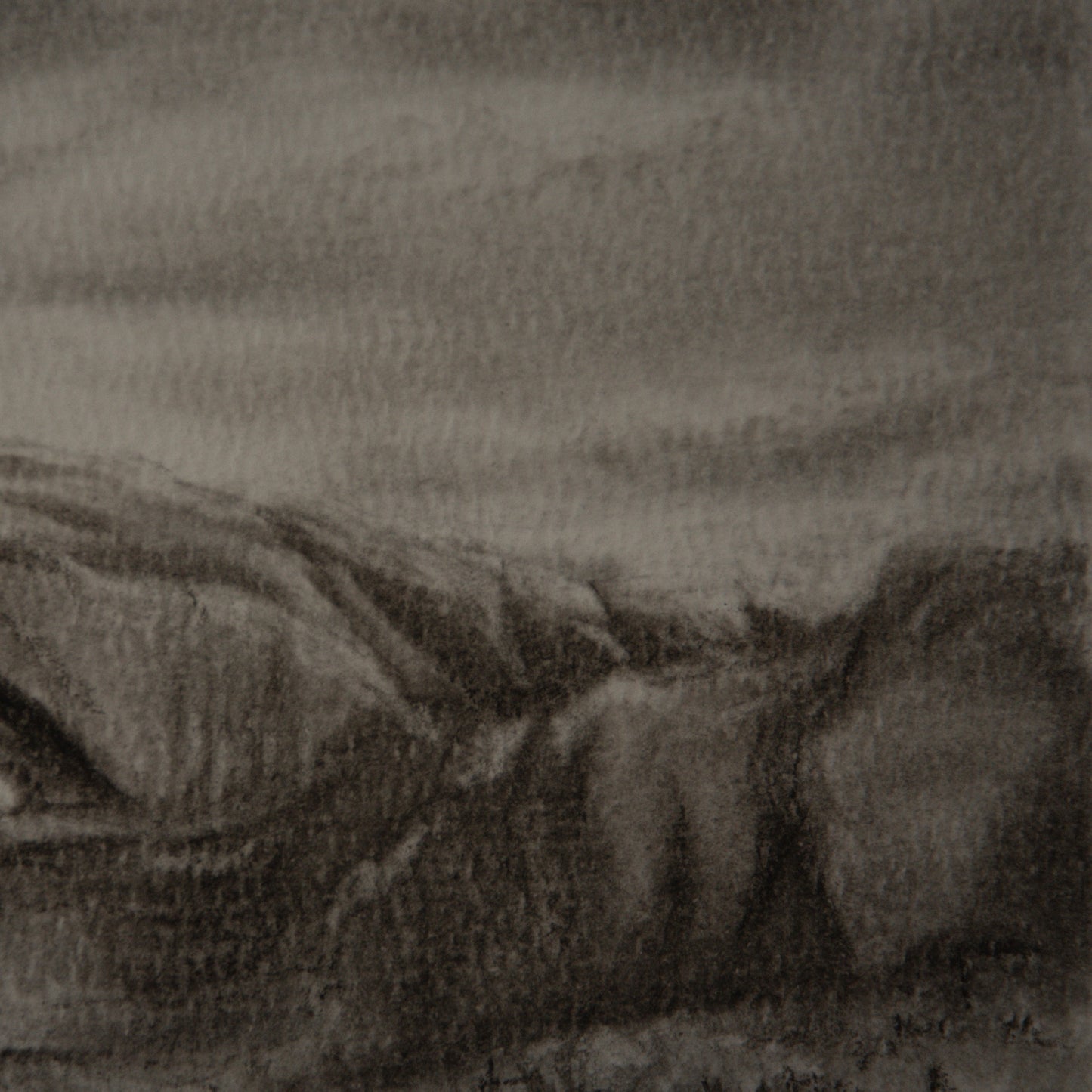 close up detail of north window charcoal study 