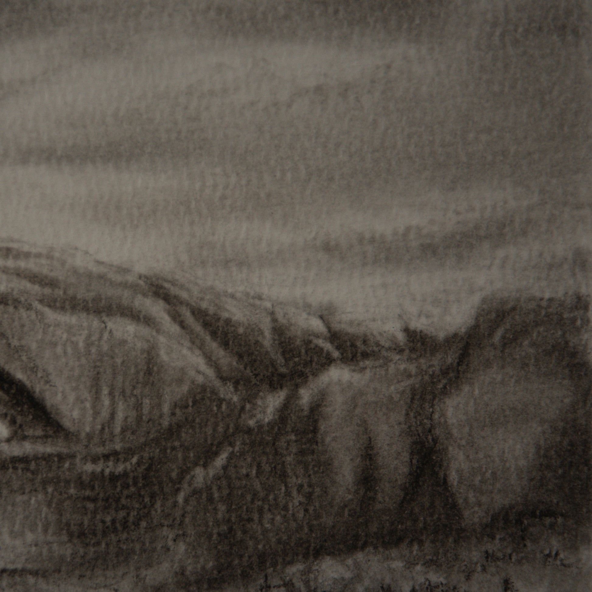 close up detail of north window charcoal study 