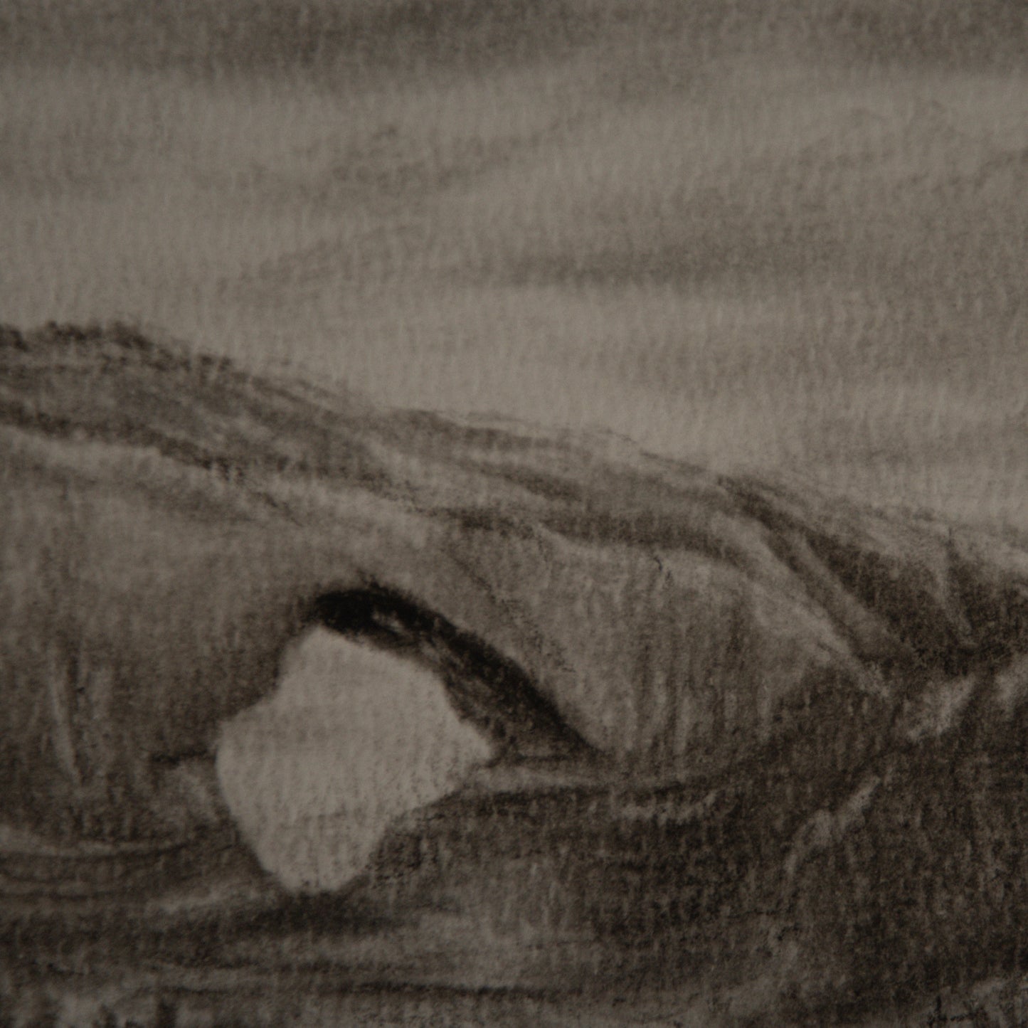 close up detail of a study done of north window in arches national park