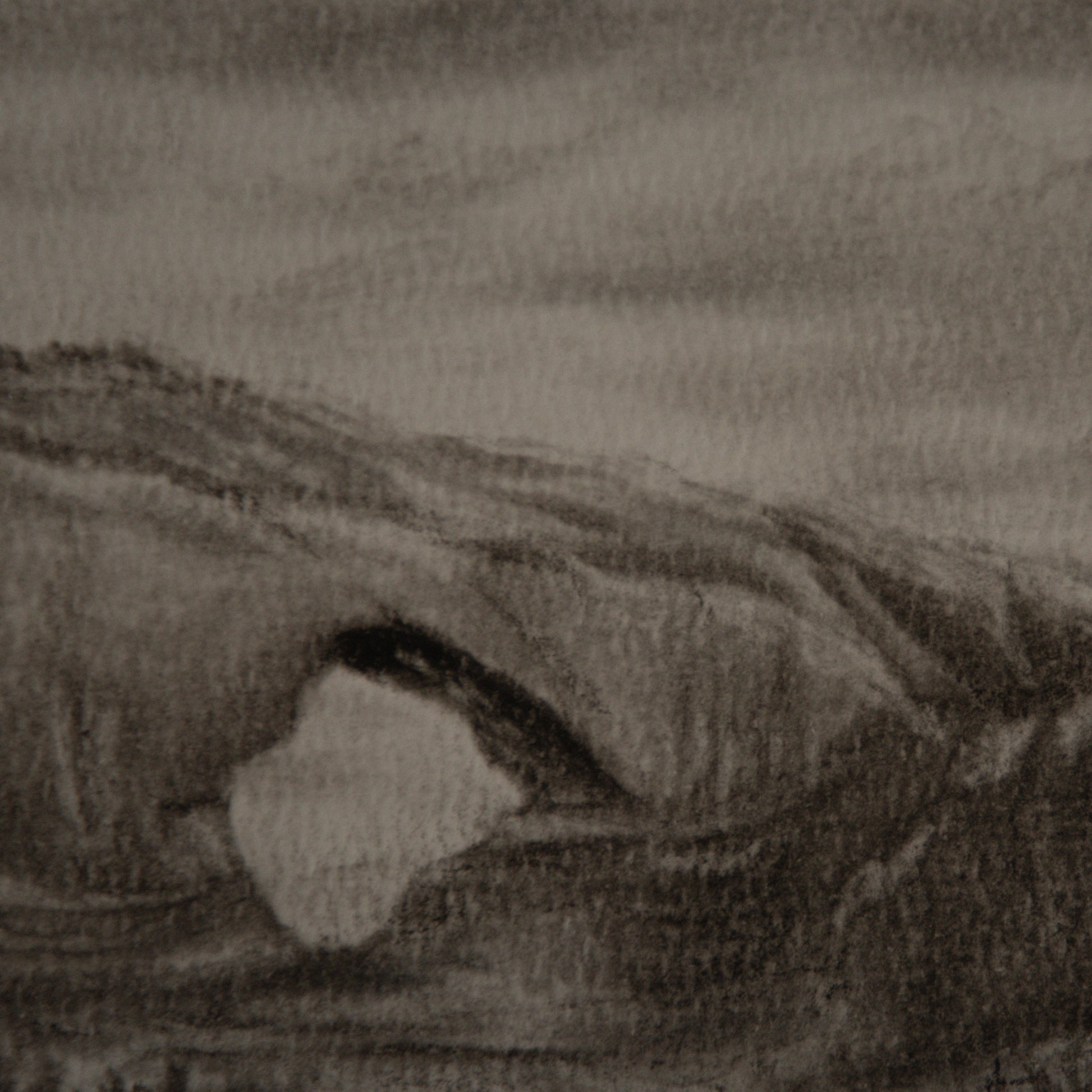 close up detail of a study done of north window in arches national park
