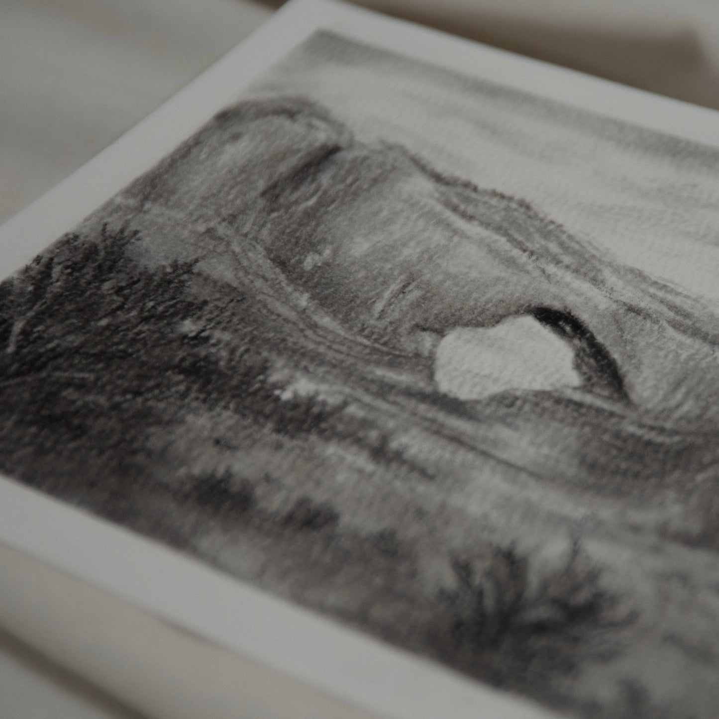 close up detail of a charcoal study from arches national park