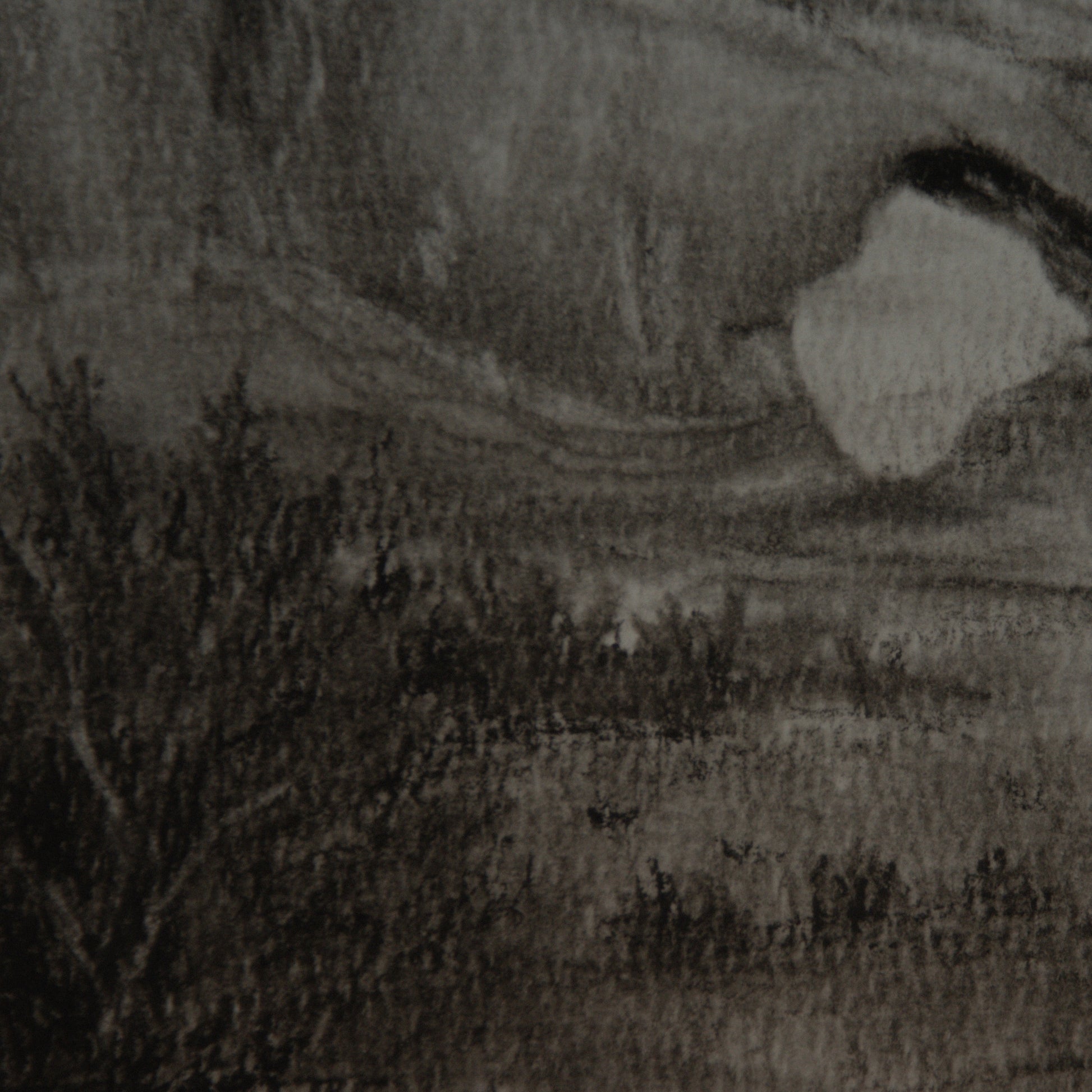 details of a study done at north window arch in arches national park