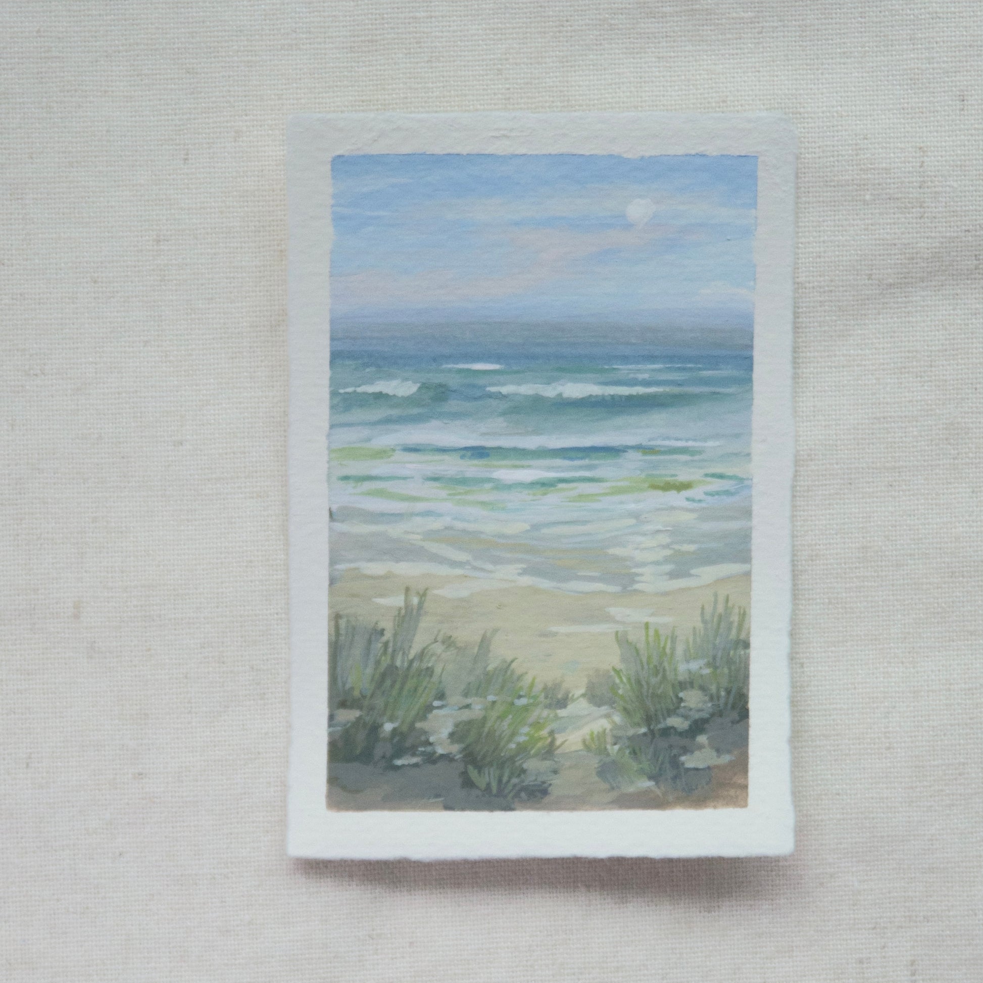 gulf islands seashore  miniature gouache painting from gulf islands national seashore by Laura Van Moorleghem