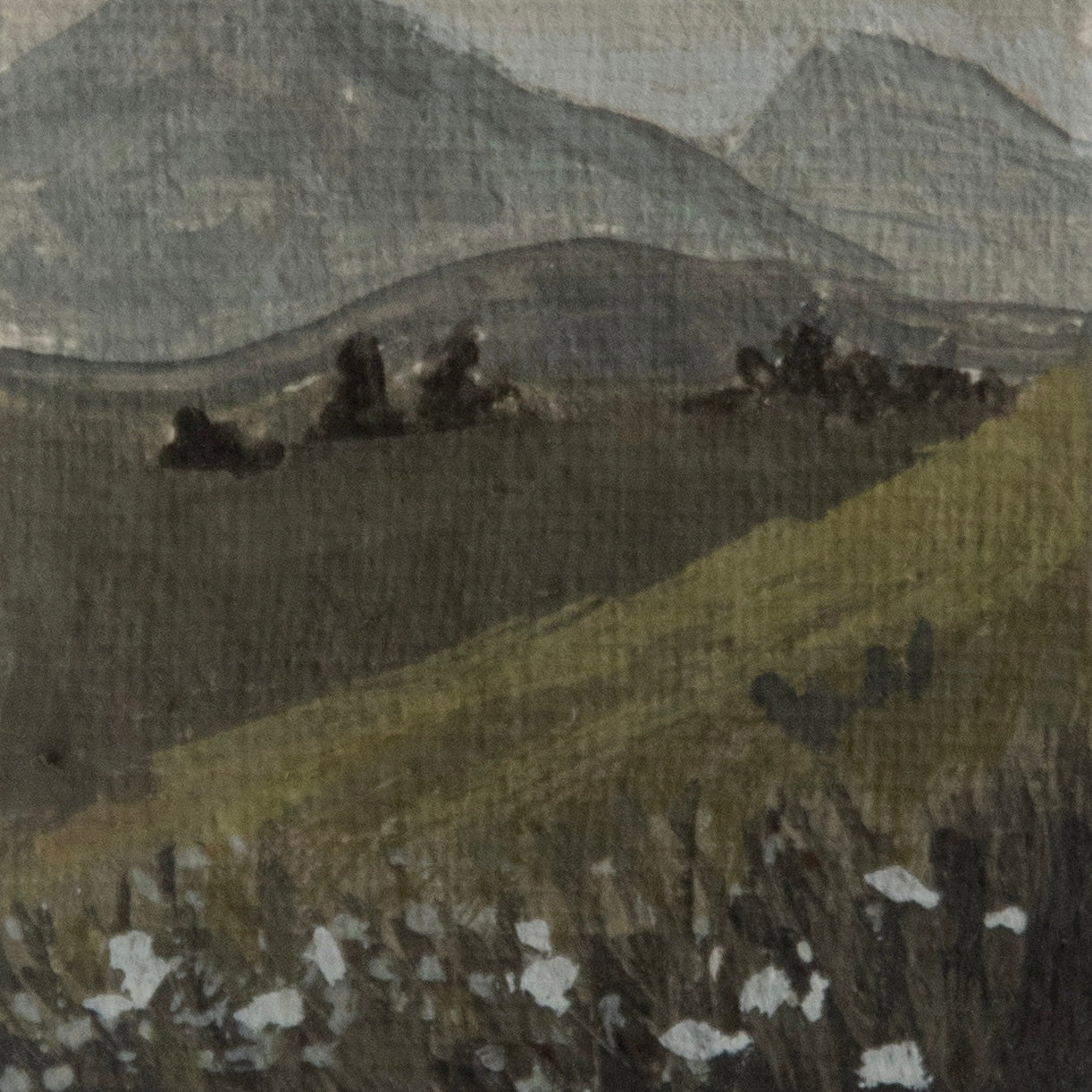 Close-up detail of plein air brushstrokes and white wildflowers, blue mountains, a few pine tree textures in hurricane ridge at olympic national park art