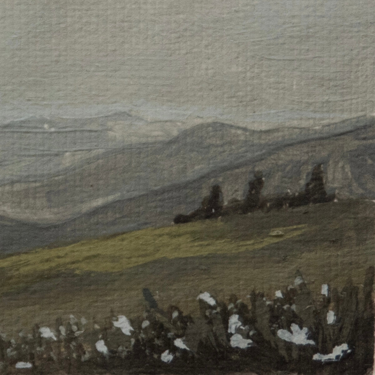 Close-up detail of plein air brushstrokes and blue mountain, hillsides, and flower textures in hurricane ridge at Olympic National Park art