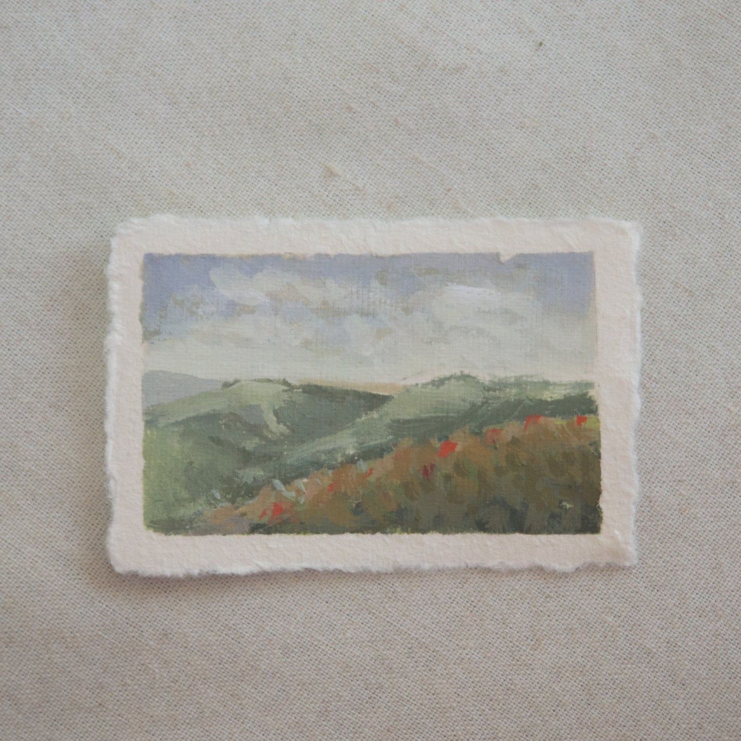 Miniature acrylic landscape of a Channel Islands hillside with flowers from Channel Islands National Park by Laura Van Moorleghem
