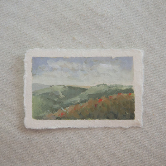 Miniature acrylic landscape of a Channel Islands hillside with flowers from Channel Islands National Park by Laura Van Moorleghem
