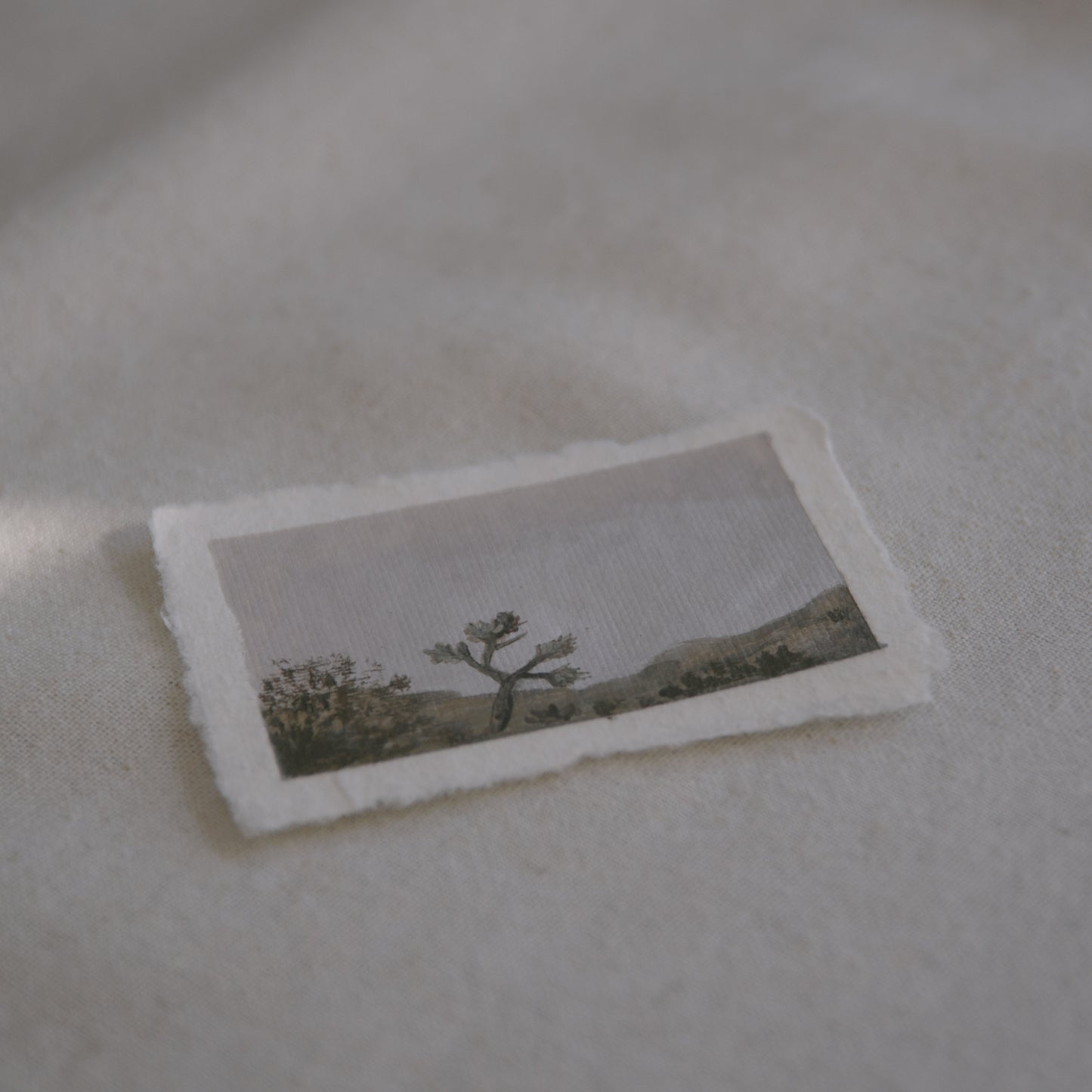 Side profile of a Joshua Tree painting created in Joshua Tree National Park on deckled edge 100% cotton rag paper