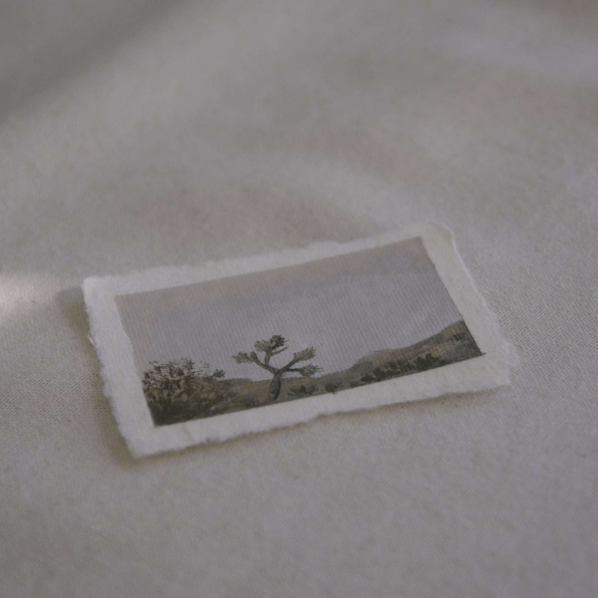 Side profile of a Joshua Tree painting created in Joshua Tree National Park on deckled edge 100% cotton rag paper