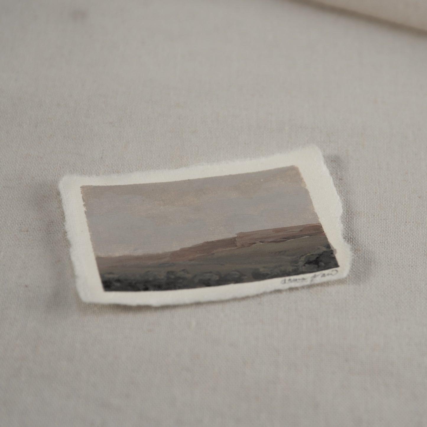 Side profile of lacey point overlook petrified forest acrylic painting on deckled edge 100% cotton rag paper
