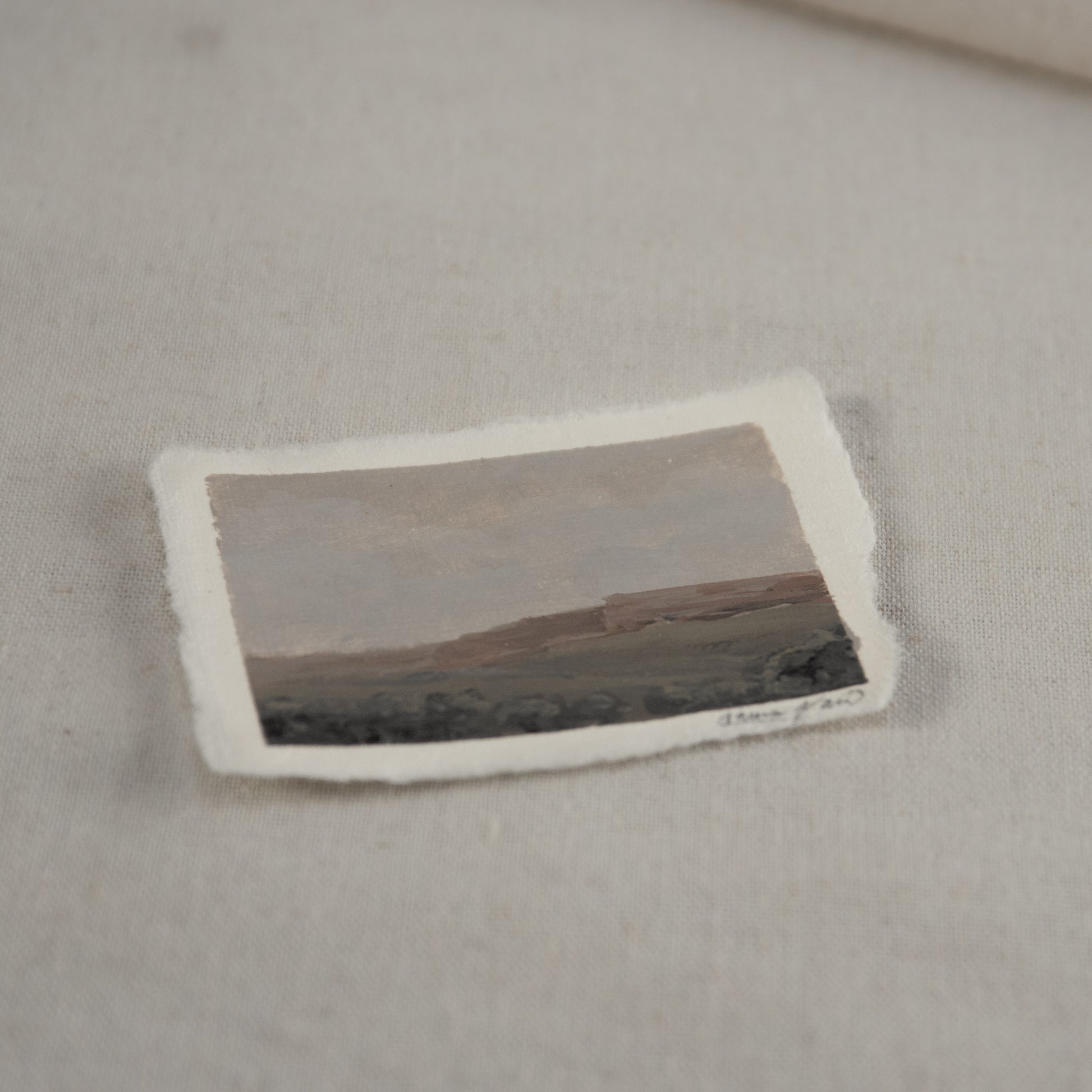 Side profile of lacey point overlook petrified forest acrylic painting on deckled edge 100% cotton rag paper
