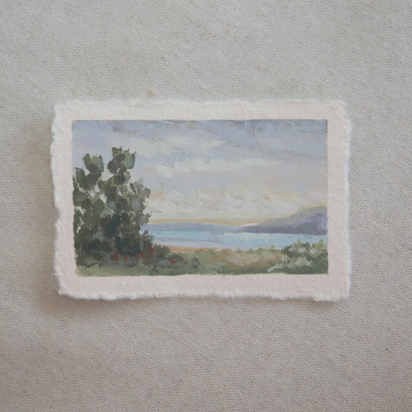 Channel Islands trees and ocean miniature acrylic painting from Channel Islands National Park by Laura Van Moorleghem