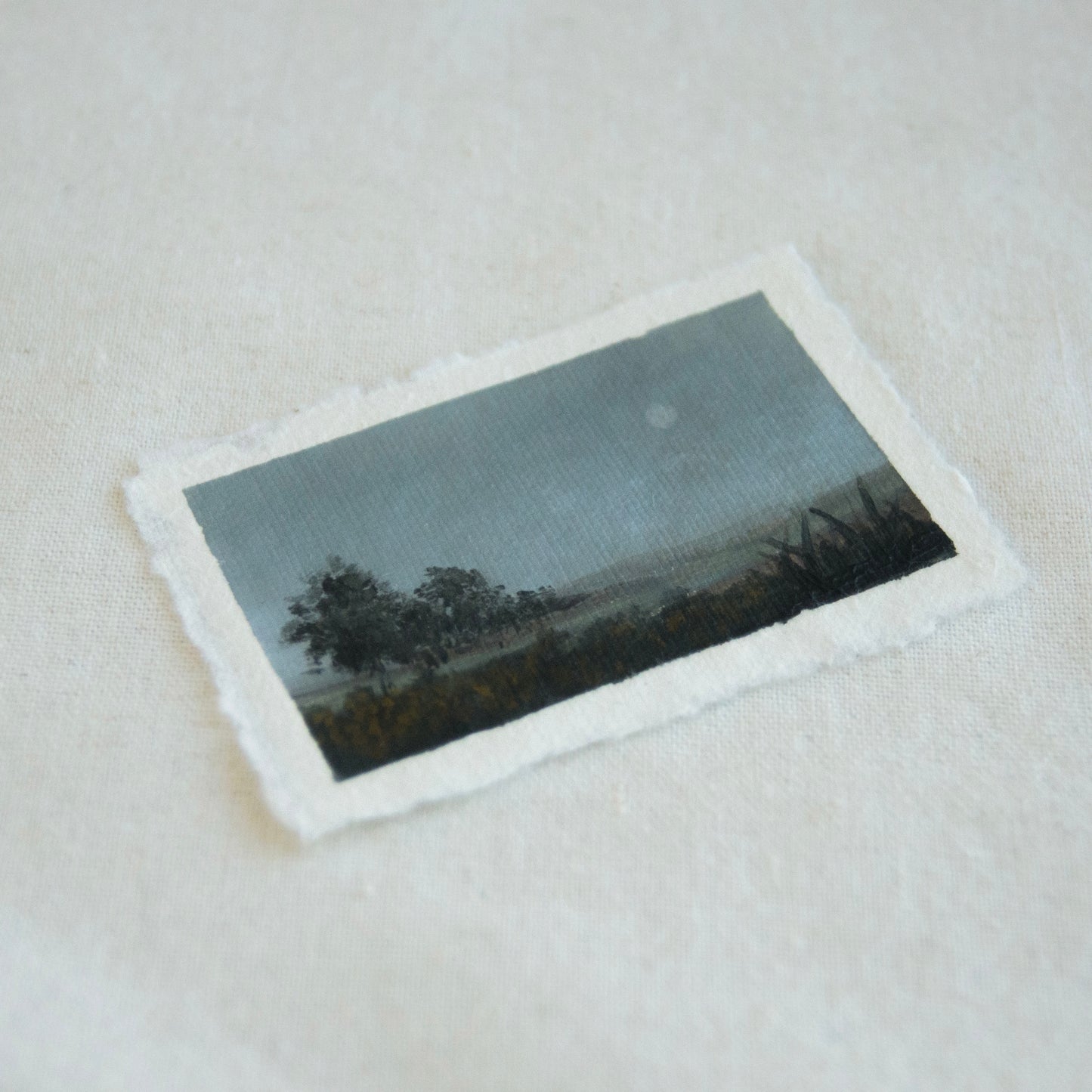 Side profile showcasing vintage-style photo of a landscape with trees and a moonlit sky, placed on a textured cotton paper from Point Reyes National Seashore.
