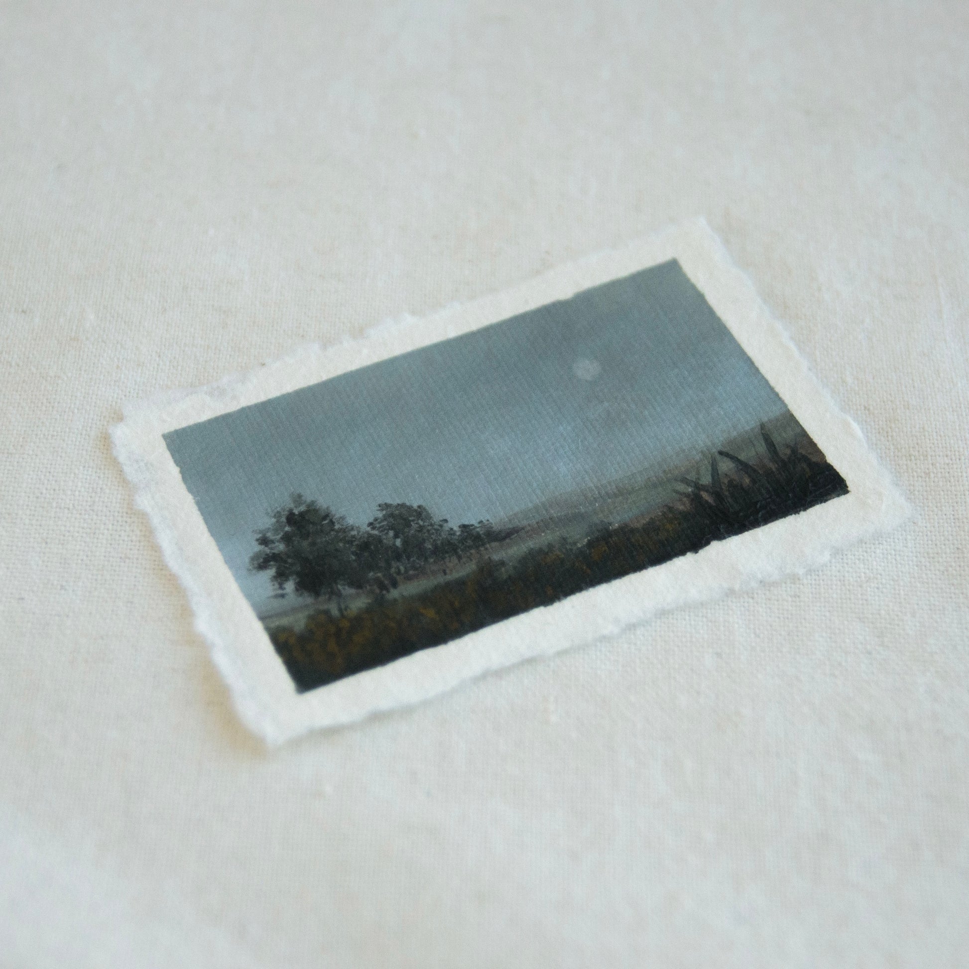 Side profile showcasing vintage-style photo of a landscape with trees and a moonlit sky, placed on a textured cotton paper from Point Reyes National Seashore.