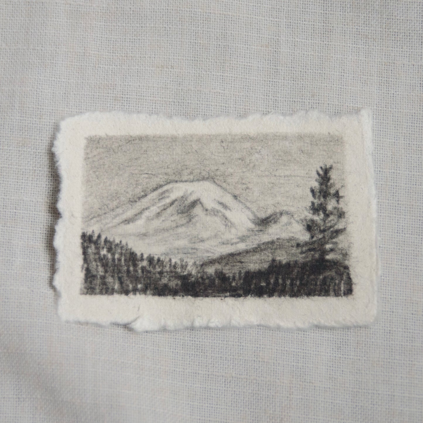 A sketch of Mt. Rainier in a landscape setting, executed in charcoal and pencil on deckled edge paper by Laura Van Moorleghem for 'for the land' collection