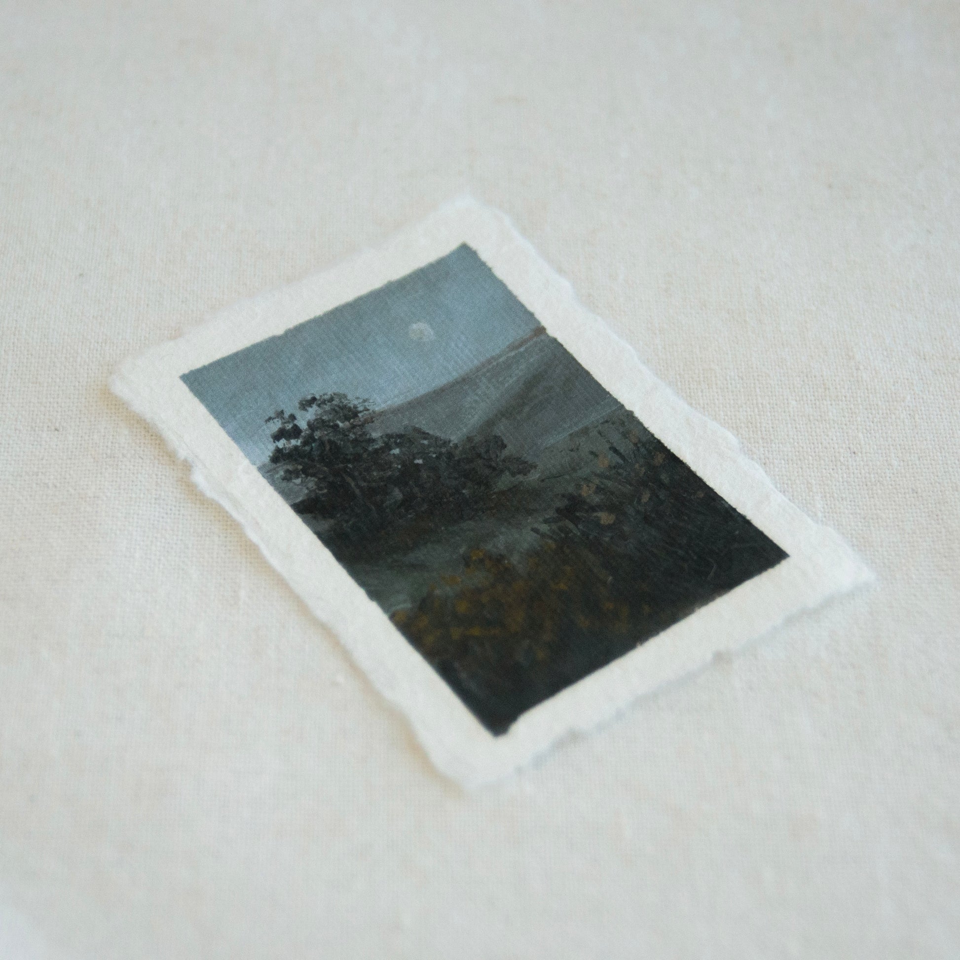 Side profile of tree landscape in Point Reyes National Seashore painting on deckled edge 100% cotton rag paper