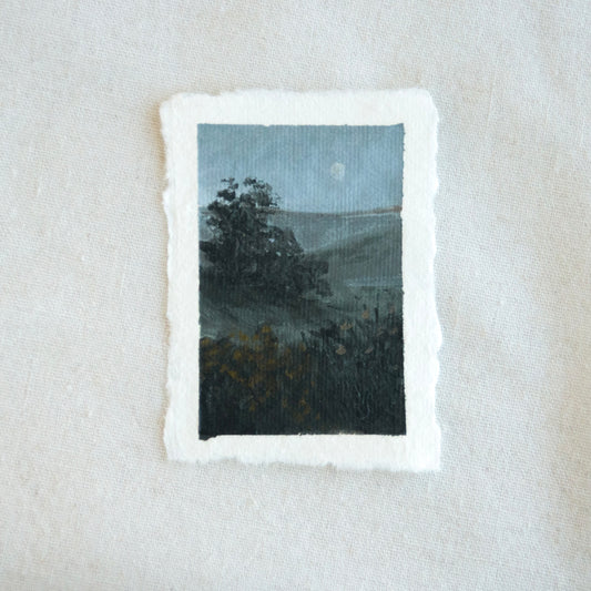 Point reyes landscape with tree and foliage in moonlight miniature acrylic painting from Point Reyes National Seashore by Laura Van Moorleghem