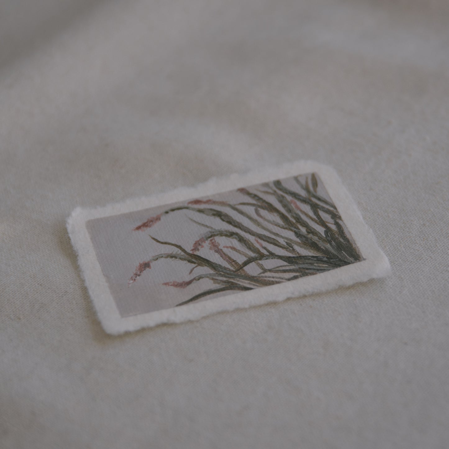 Side profile of Ocotillo painting from Joshua Tree National Park on deckled edge 100% cotton rag paper
