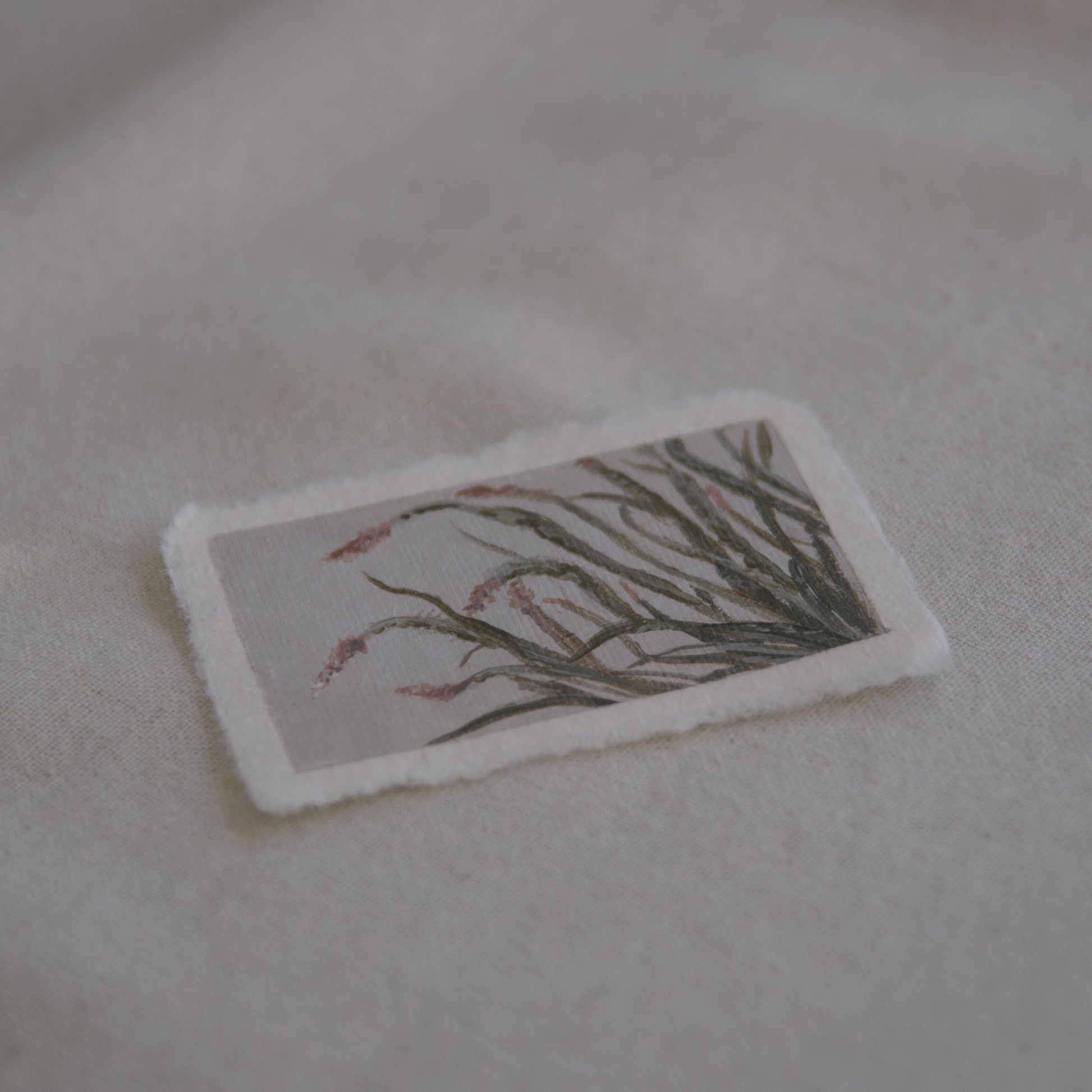 Side profile of Ocotillo painting from Joshua Tree National Park on deckled edge 100% cotton rag paper