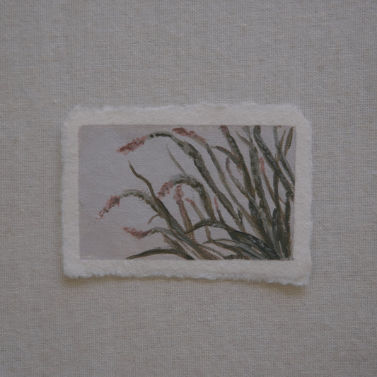 Ocotillo miniature acrylic painting from Joshua Tree National Park by Laura Van Moorleghem